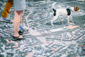 Ilustracja: Zdjęcia lotnicze w galerii sztuki <br />
fot. Galeria Bunkier Sztuki