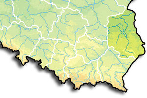Ilustracja: Lubelskie powiaty zlecają utworzenie oraz modernizację baz danych <br />
fot. Wikipedia/Wulfstan