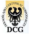 Ilustracja: Diamentowa statuetka dla GISPartner