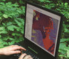 Ilustracja: Esri zaprasza na webinarium teledetekcyjne "ENVI w leśnictwie"