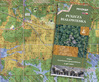 Ilustracja: Nowa mapa turystyczno-przyrodnicza Puszczy Białowieskiej