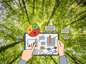 Ilustracja: Komisja Europejska proponuje nowy system monitorowania lasów